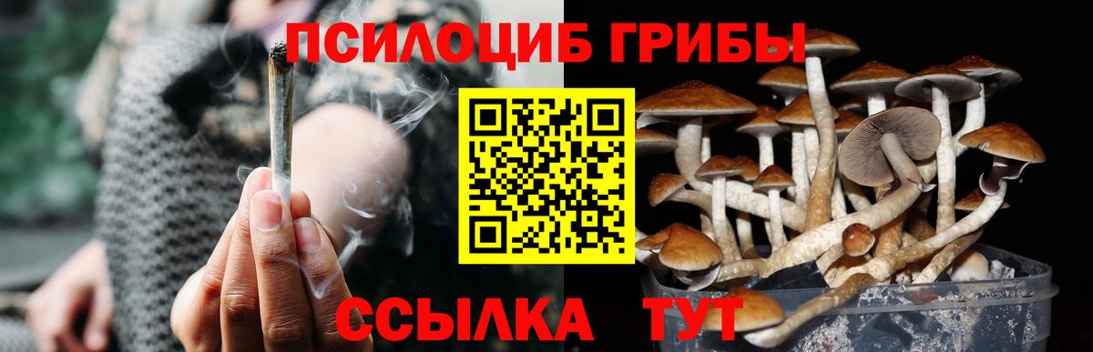 Псилоцибиновые грибы MAGIC MUSHROOMS  Вход с VPN  Кимры  Псилоцибиновые грибы мицелий 